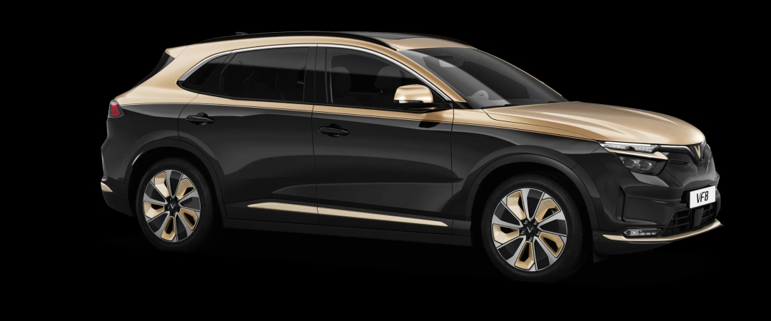 Đen & vàng-/2911.webp