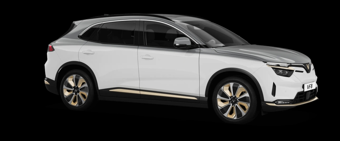 Trắng & vàng-/1V18.webp